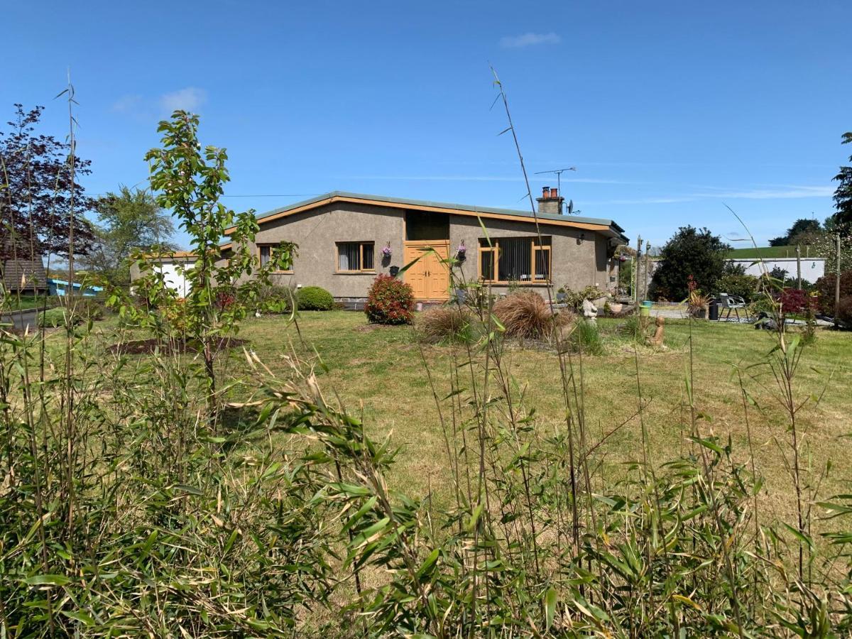 Отель Roadside House Ballynahinch Экстерьер фото